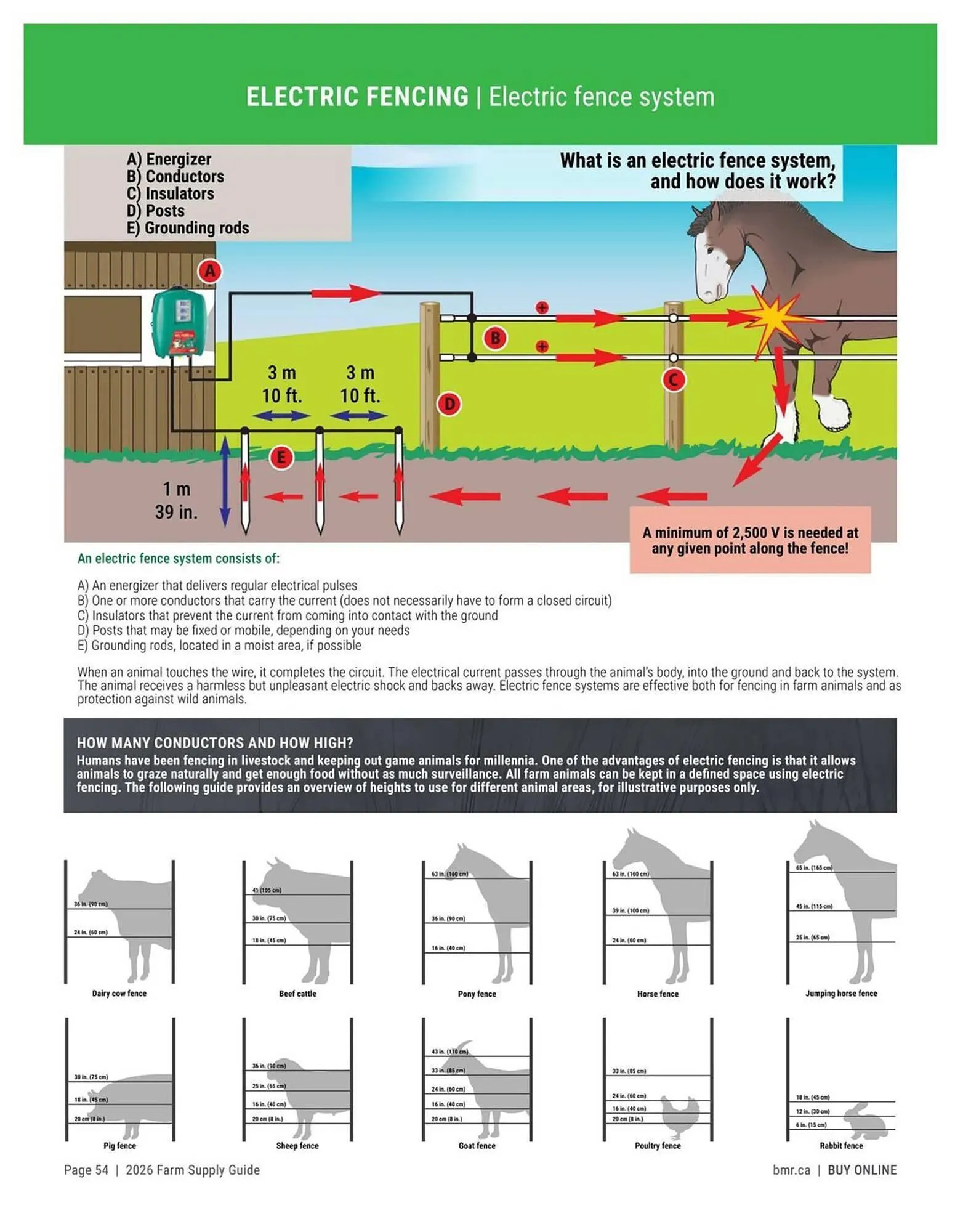 BMR flyer from January 9 to December 31 2026 - flyer page 54