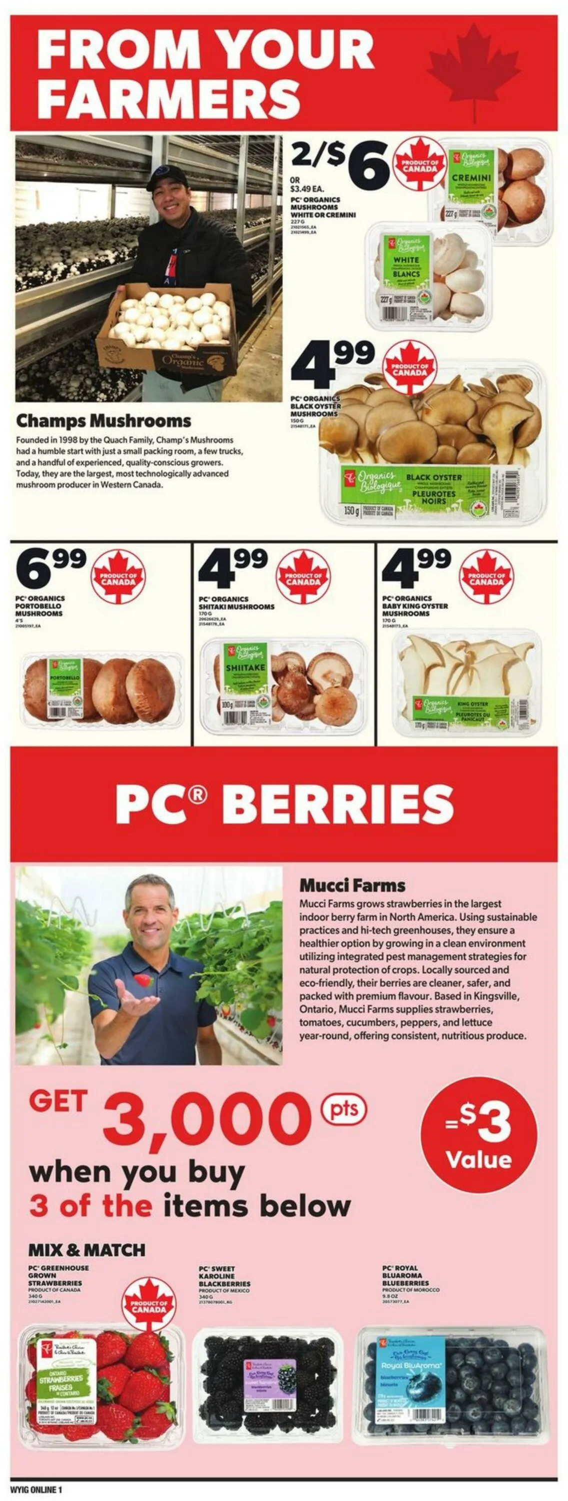 Independent Current flyer from March 27 to April 2 2025 - flyer page 8