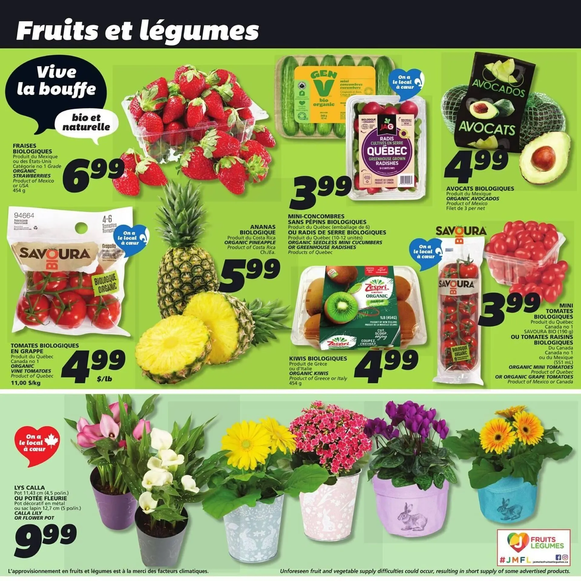 IGA flyer from April 10 to April 24 2025 - flyer page 5