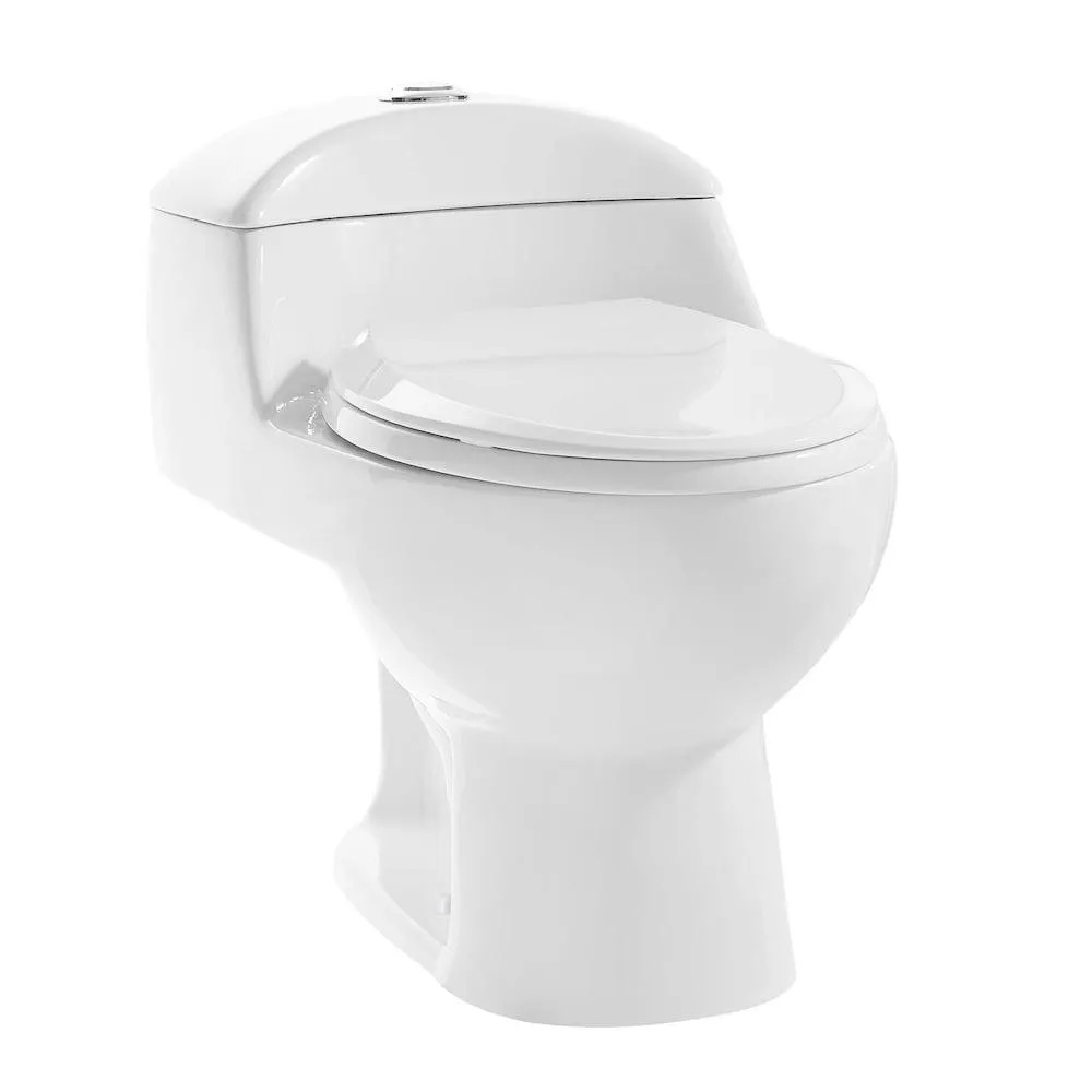 Chateau One Piece Elongated Toilet Dual Flush
