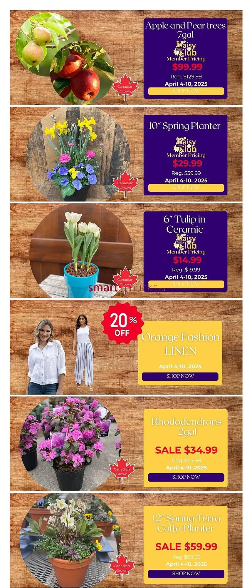 Terra Green Houses flyer - 1