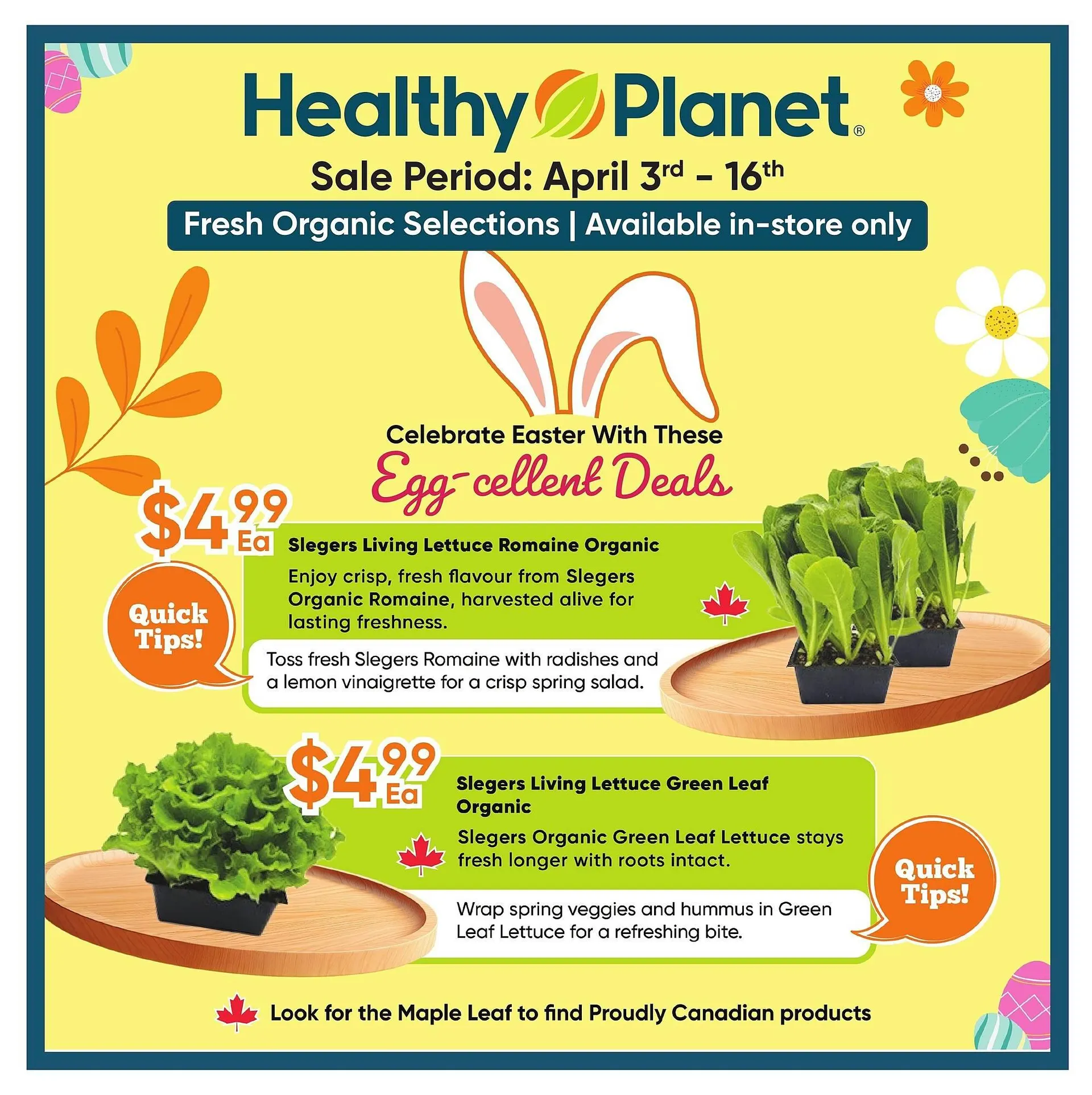 Healthy Planet flyer - 1