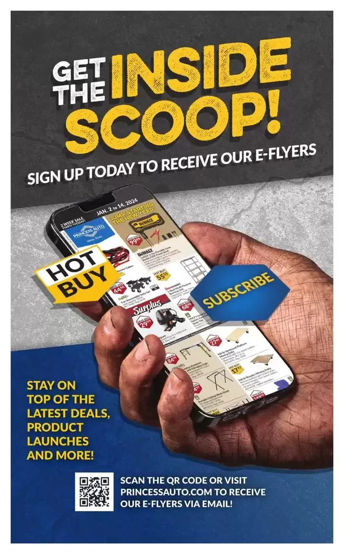 National Sale from January 14 to January 26 2025 - flyer page 31