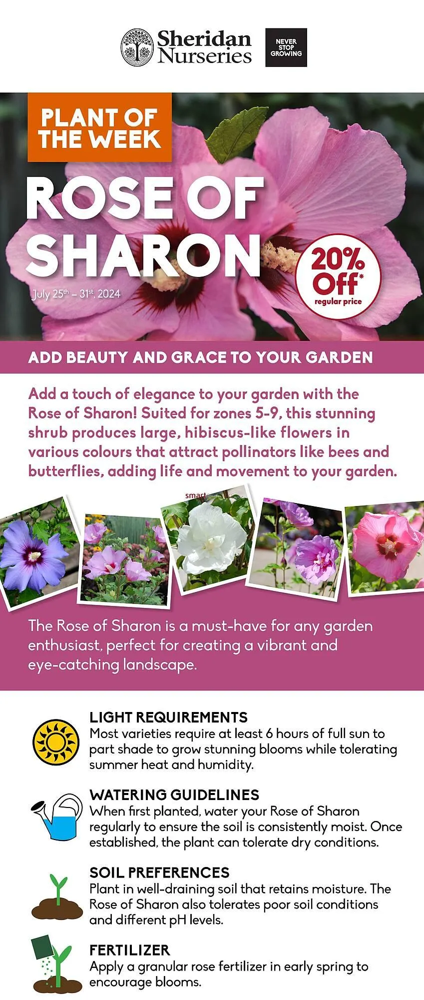 Sheridan Nurseries flyer - 1