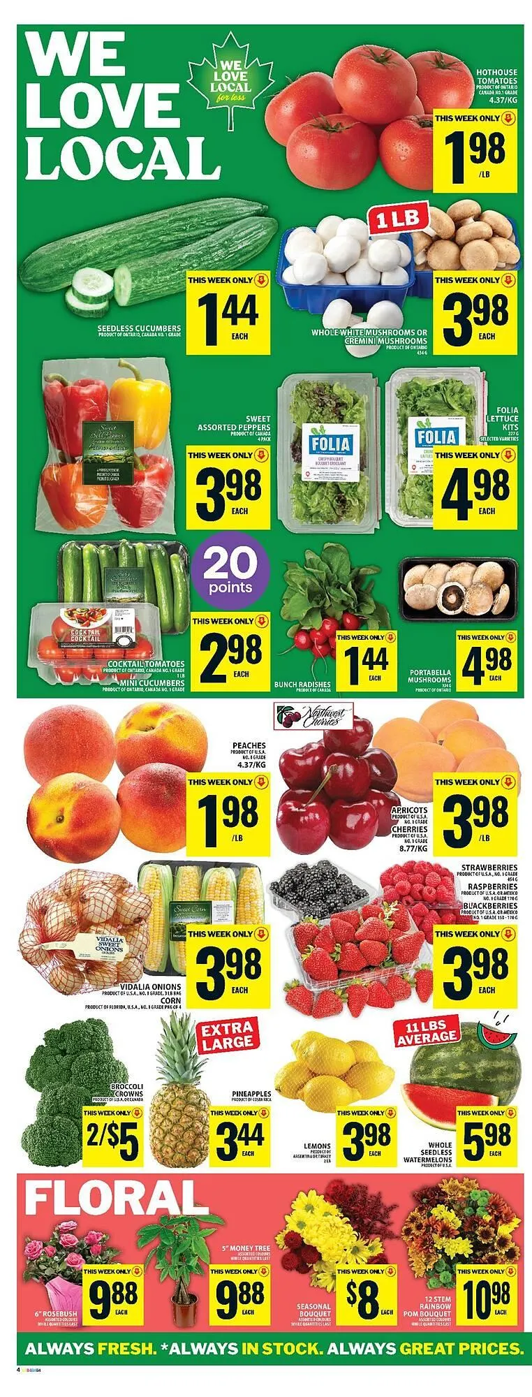 Food Basics flyer from July 3 to July 9 2025 - flyer page 13