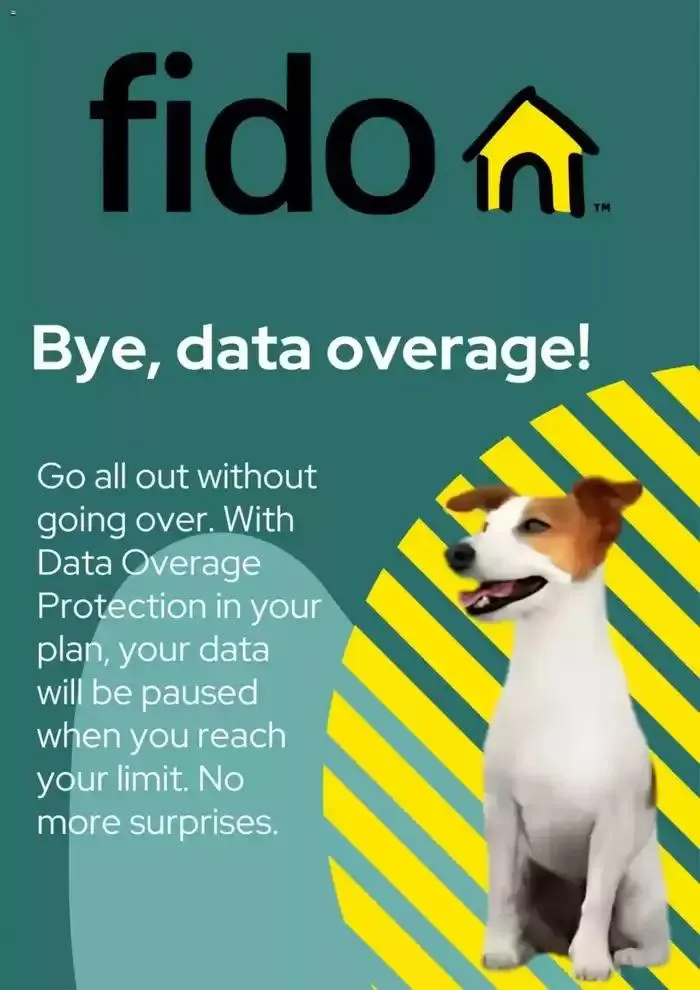 Current deals and offers - 1