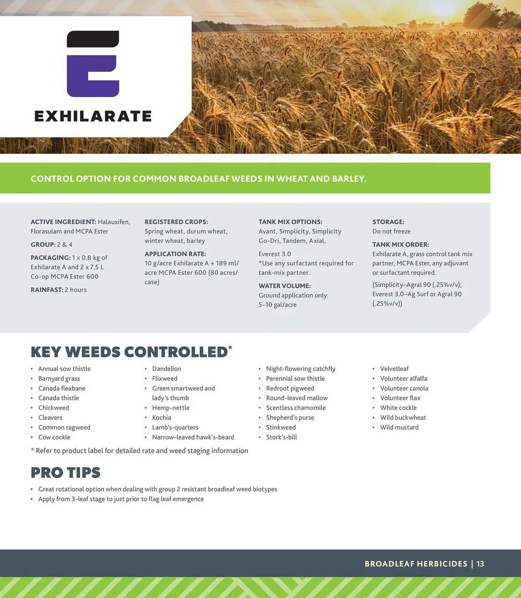 Co-Op Food flyer from September 12 to November 30 2025 - flyer page 13