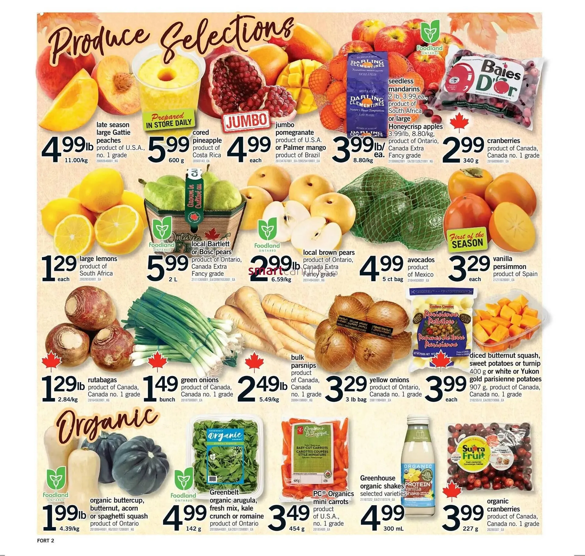 Fortinos flyer from October 9 to October 15 2025 - flyer page 3