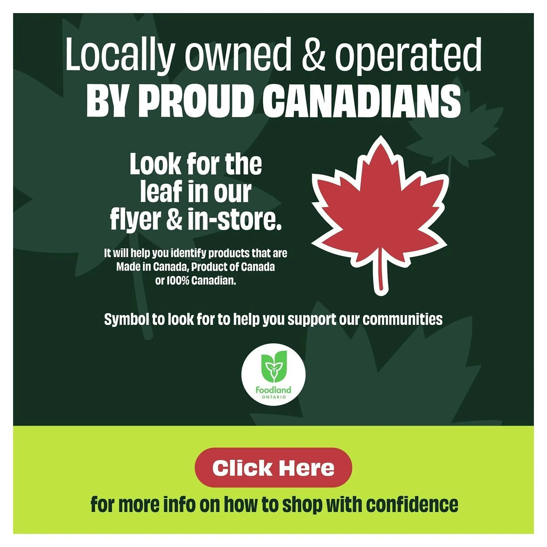 FreshCo flyer from May 23 to May 30 2025 - flyer page 2