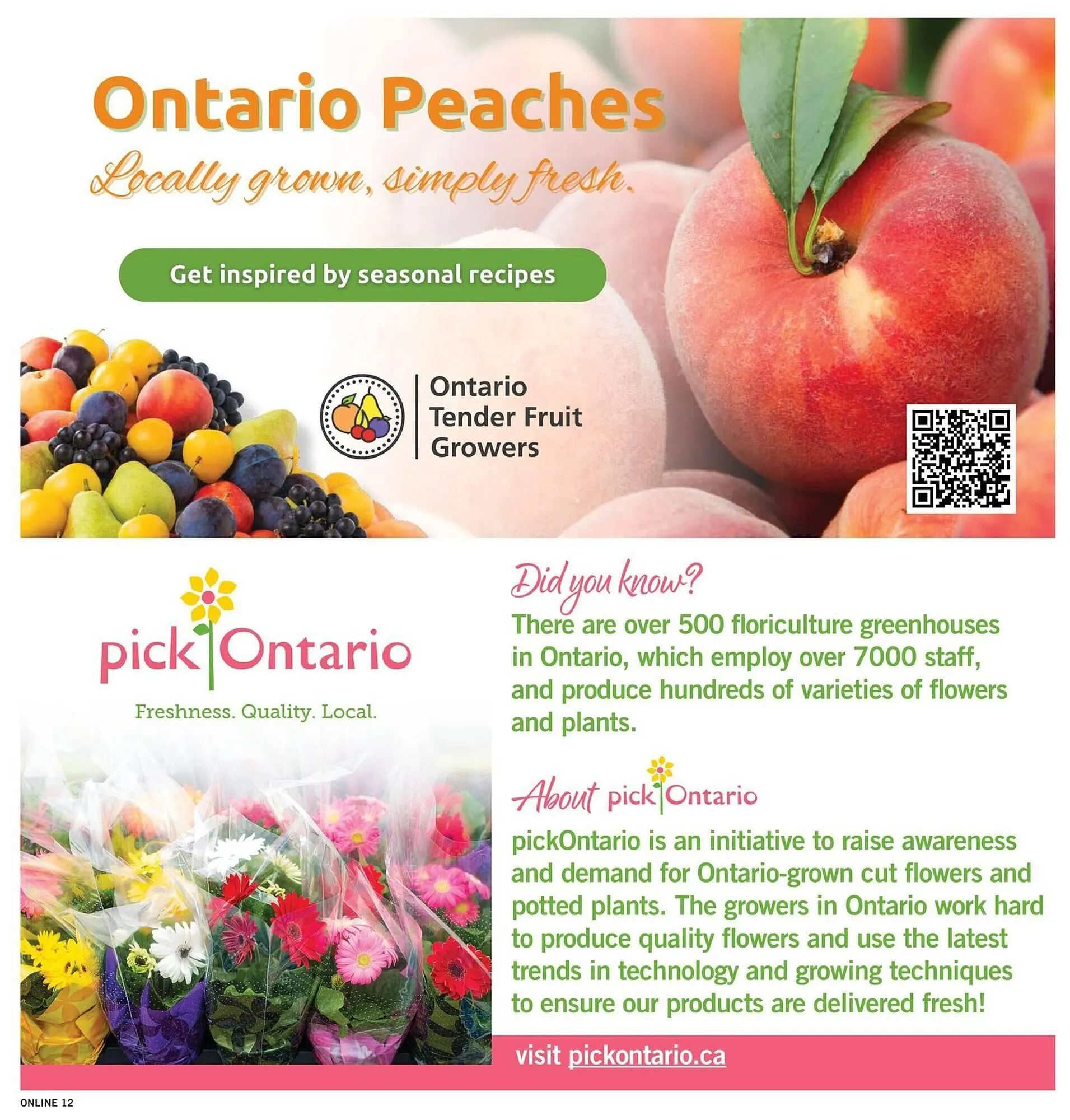 Fortinos flyer from July 24 to July 30 2025 - flyer page 12