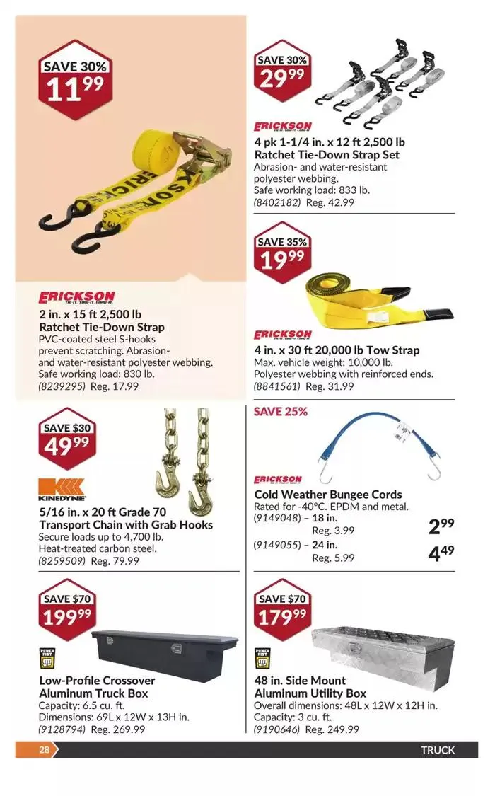 National Sale from January 14 to January 26 2025 - flyer page 33