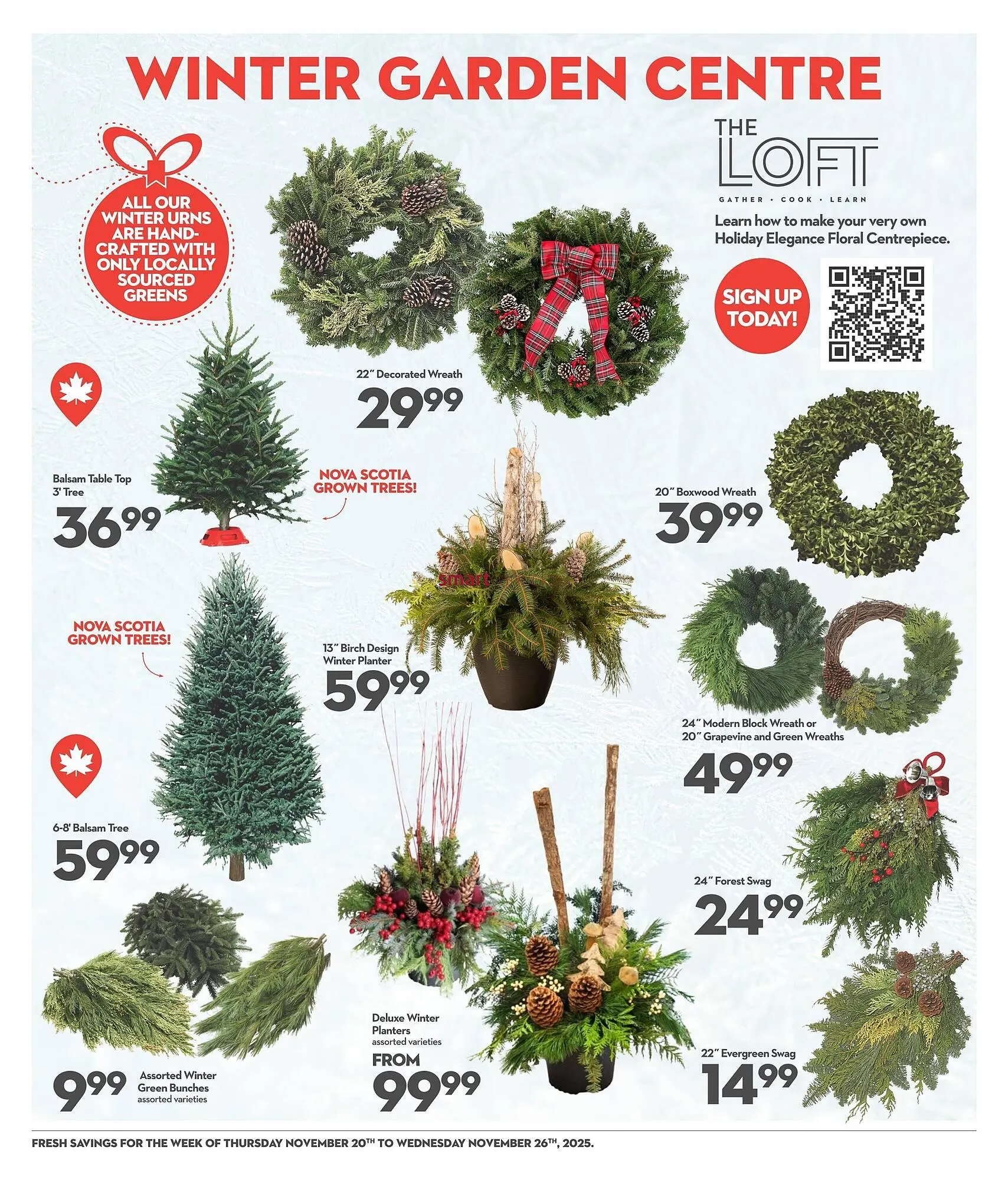 Longo's flyer from November 20 to November 26 2025 - flyer page 12