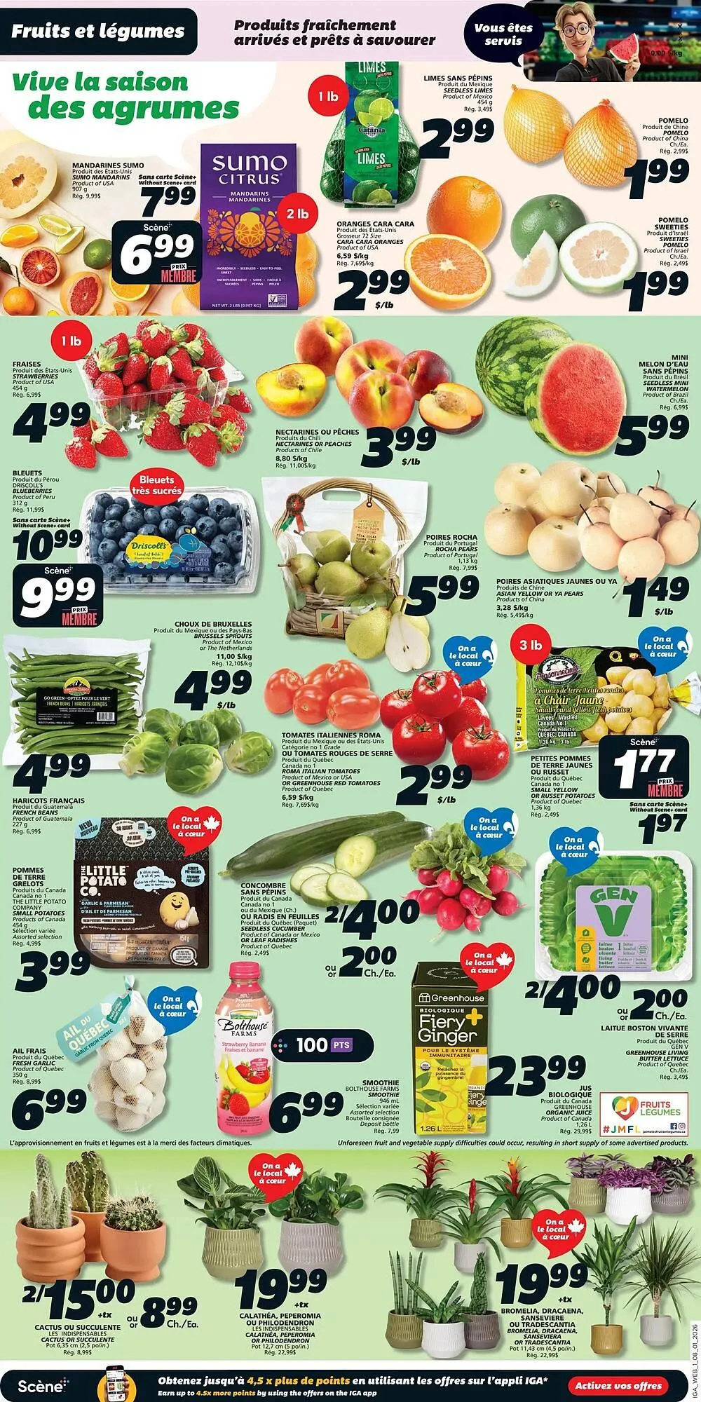 IGA flyer from January 8 to January 14 2026 - flyer page 3