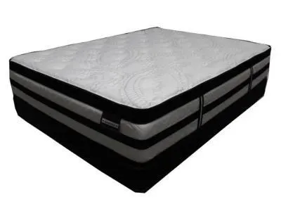 Sleep In Mattresses Spinal Care Euro Top Queen Mattress - Spinal Care(Queen)
