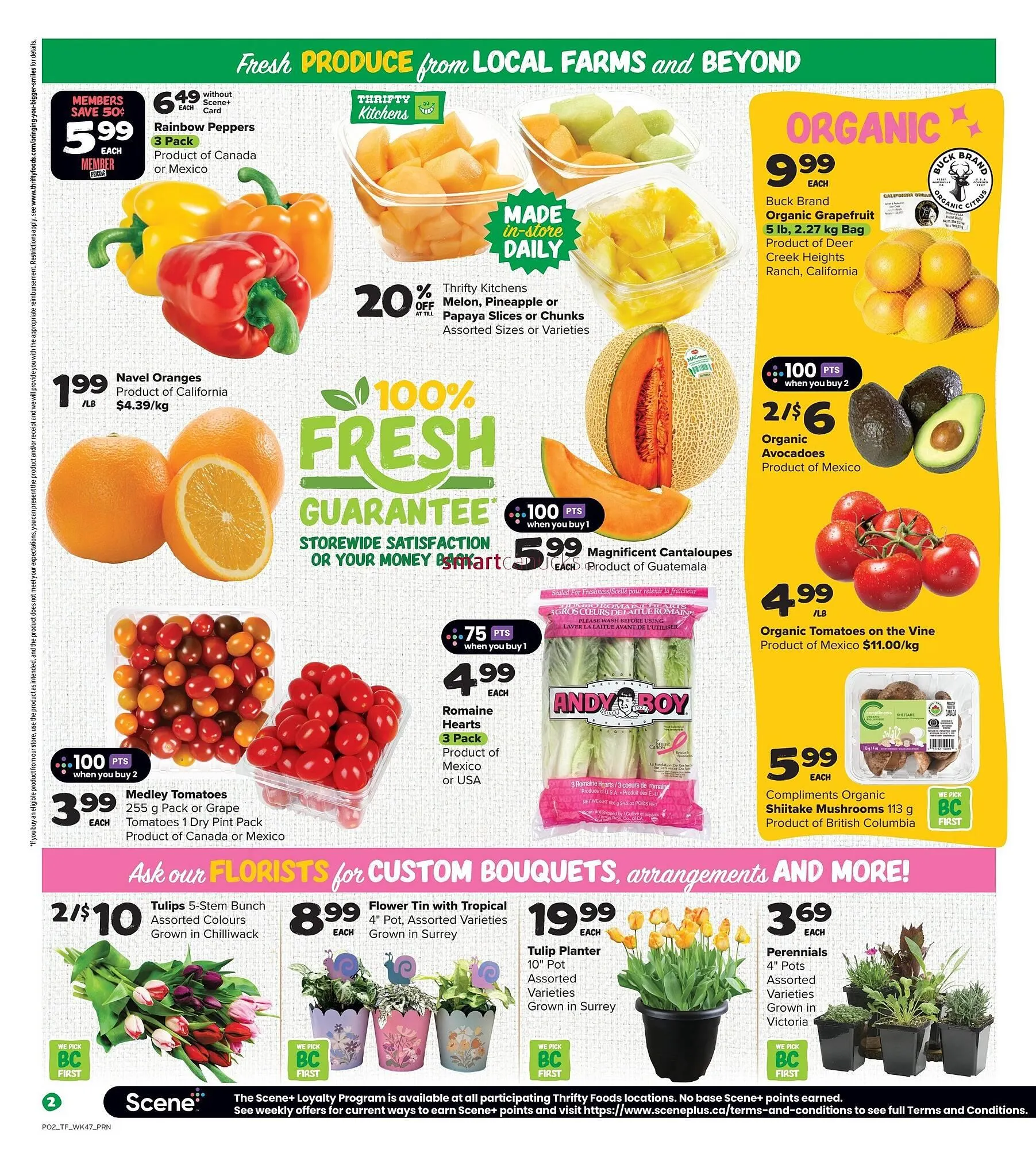 Thrifty Foods flyer from March 19 to March 25 2026 - flyer page 3