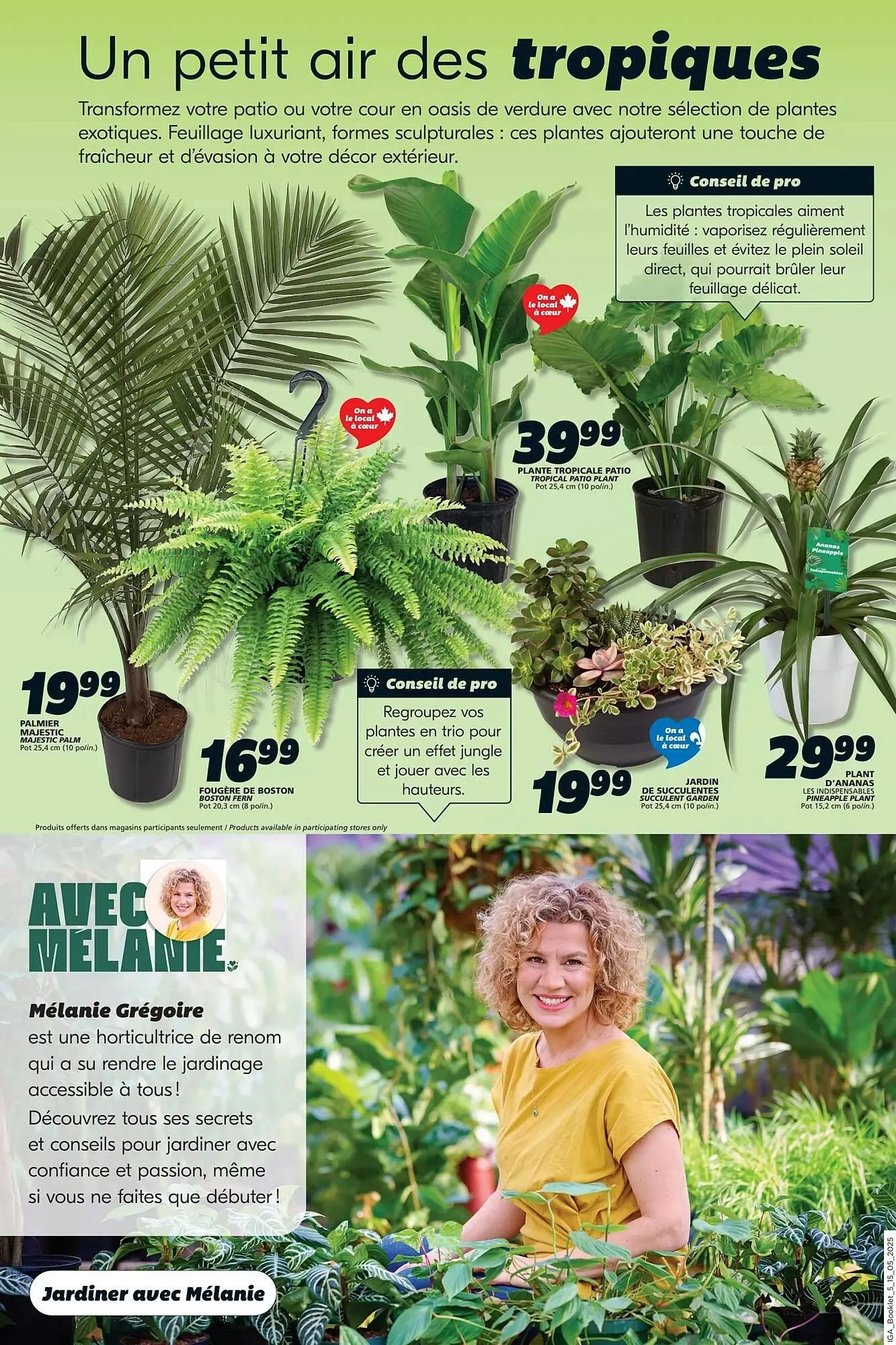 IGA flyer from May 15 to May 21 2025 - flyer page 37