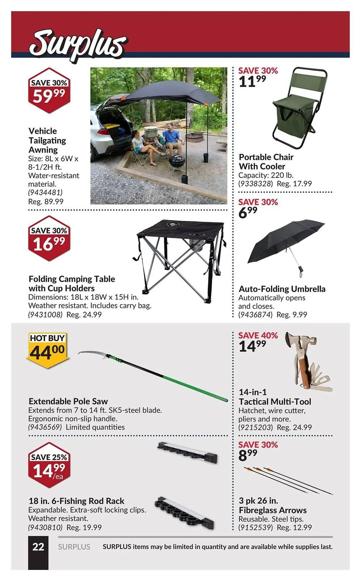 Princess Auto flyer from June 17 to June 29 2025 - flyer page 28