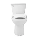 Mainstream 4.8L Single Flush Standard Height Elongated 2-Piece Toilet in White with Lined Tank