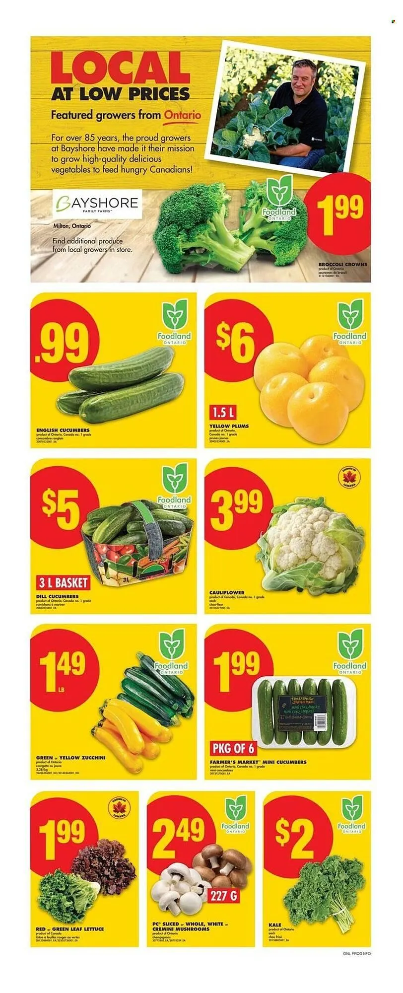 No Frills flyer from July 17 to July 23 2025 - flyer page 3
