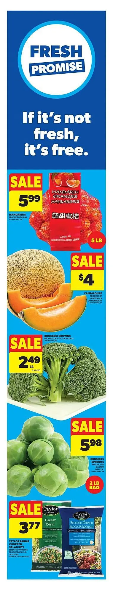 Real Canadian Superstore flyer from December 11 to December 17 2025 - flyer page 2