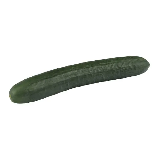 Cucumber English Long - Organic