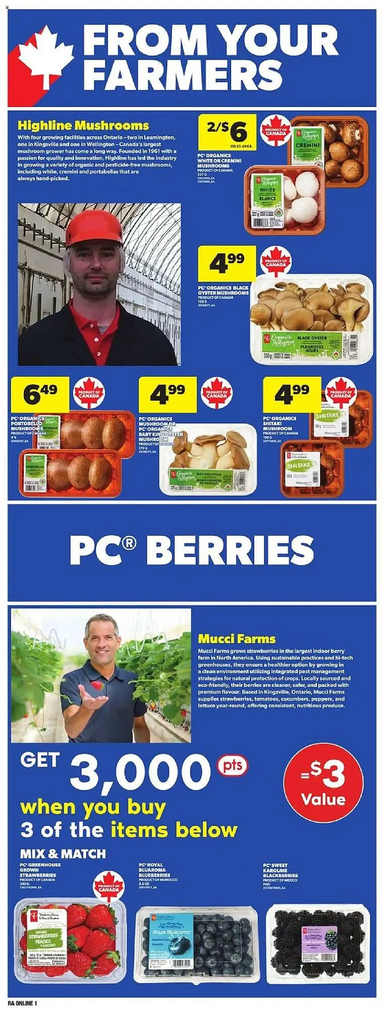 Atlantic Superstore flyer from March 27 to April 2 2025 - flyer page 8