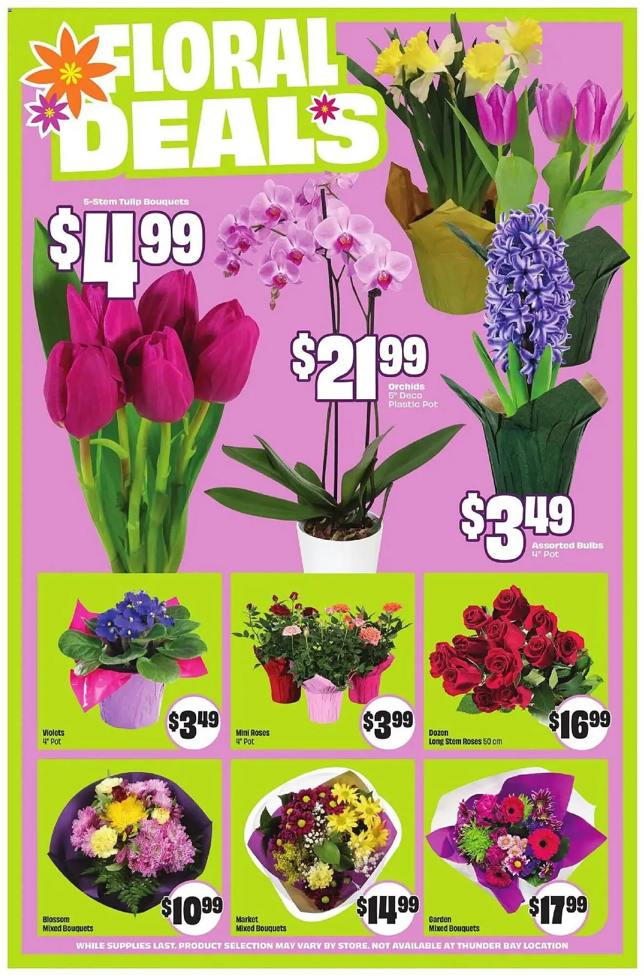 FreshCo flyer from March 5 to March 11 2026 - flyer page 5