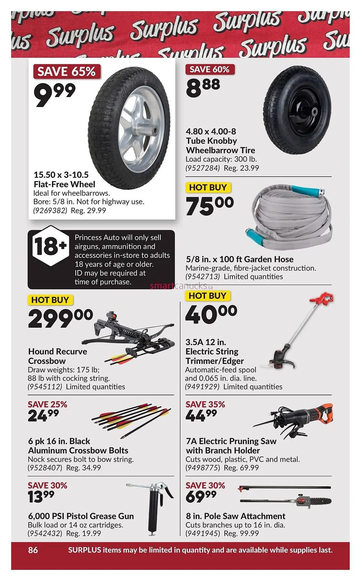 Princess Auto flyer from March 10 to March 22 2026 - flyer page 91