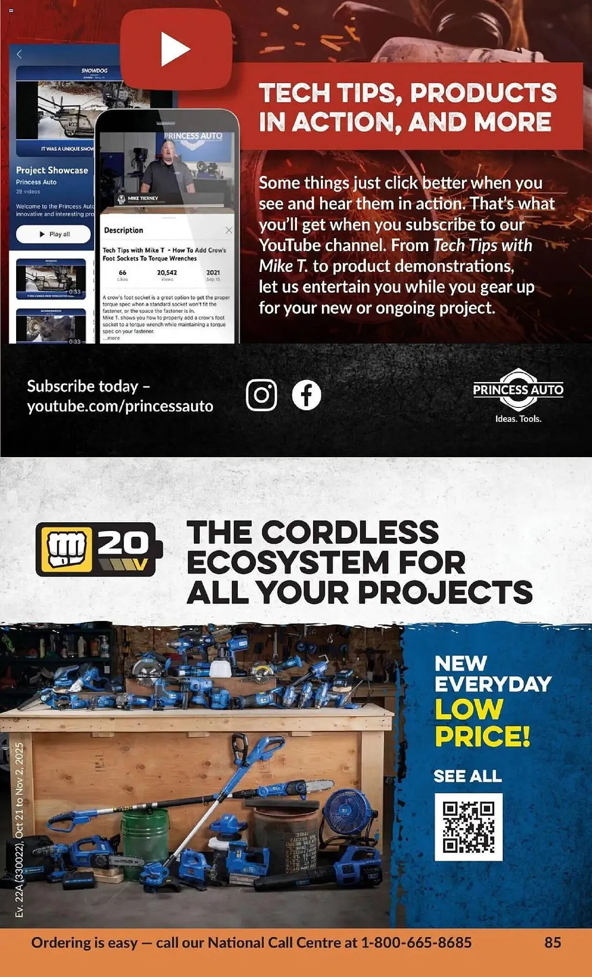 Princess Auto flyer from October 21 to November 2 2025 - flyer page 106