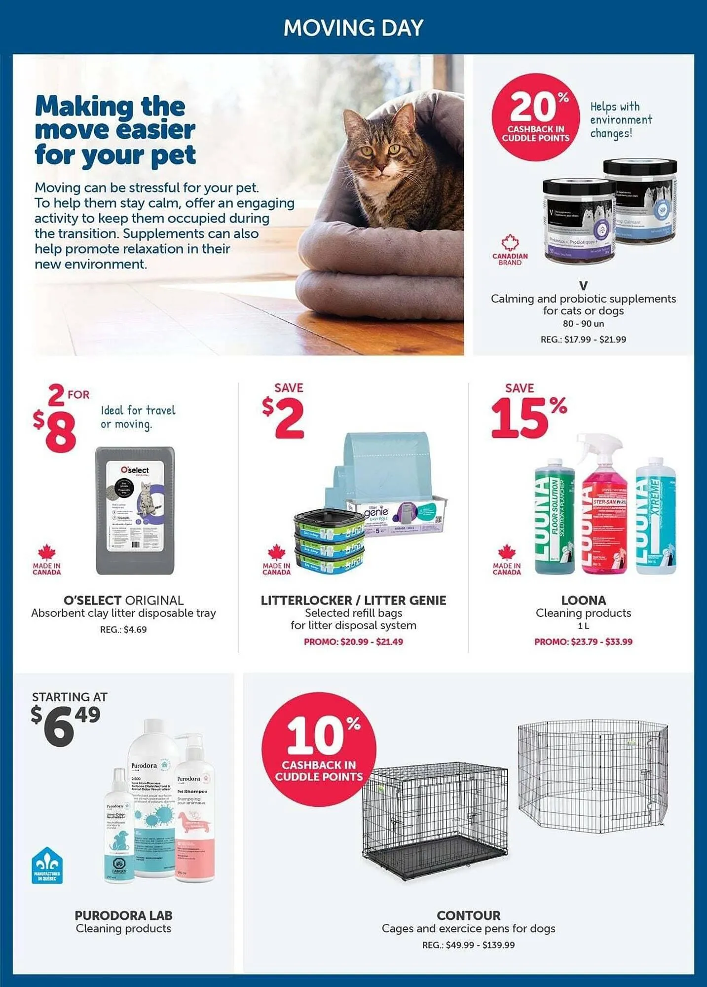 Mondou flyer from June 5 to June 12 2025 - flyer page 10