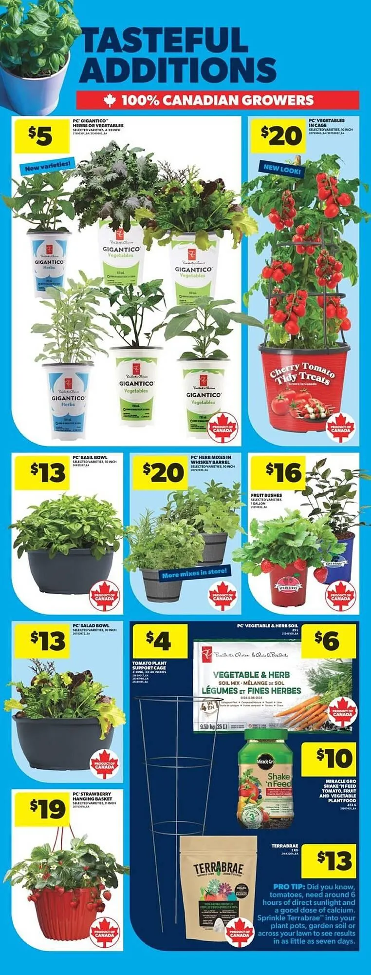 Real Canadian Superstore flyer from May 1 to May 8 2025 - flyer page 12