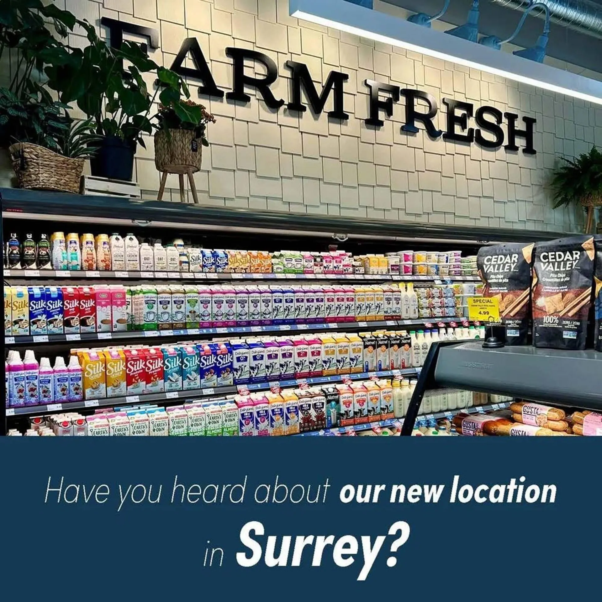 Stong's Market flyer from January 12 to January 22 2026 - flyer page 4