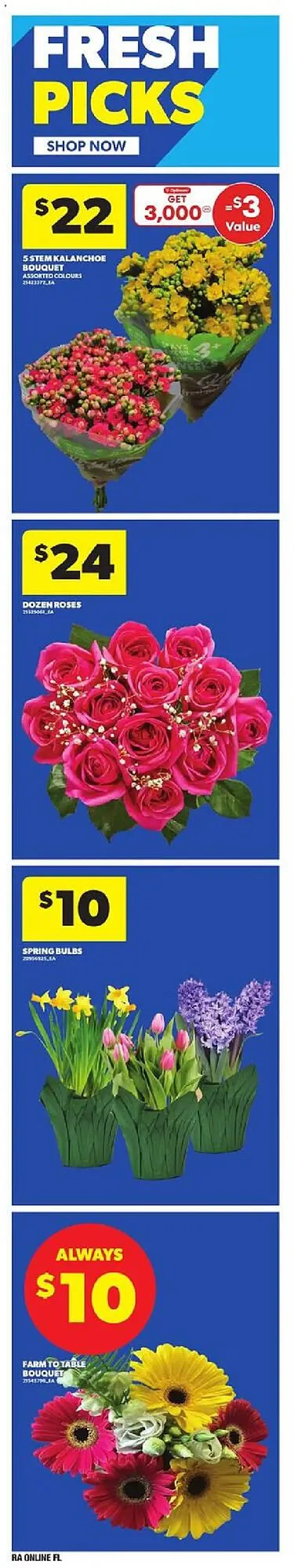 Atlantic Superstore flyer from March 27 to April 2 2025 - flyer page 9