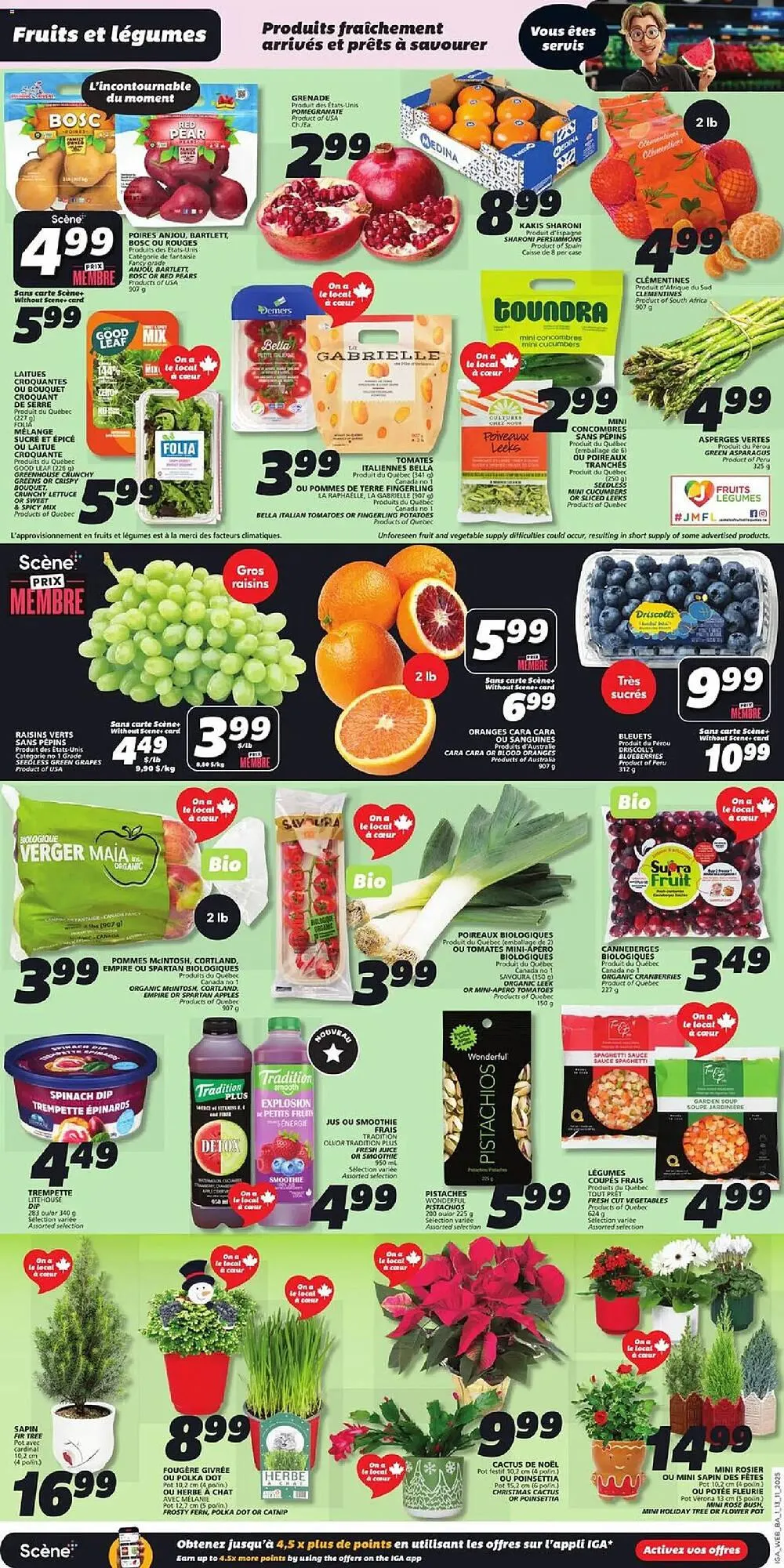 IGA flyer from November 13 to November 20 2025 - flyer page 3