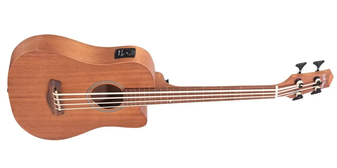 Micro Bass 23 Fretless with Gigbag