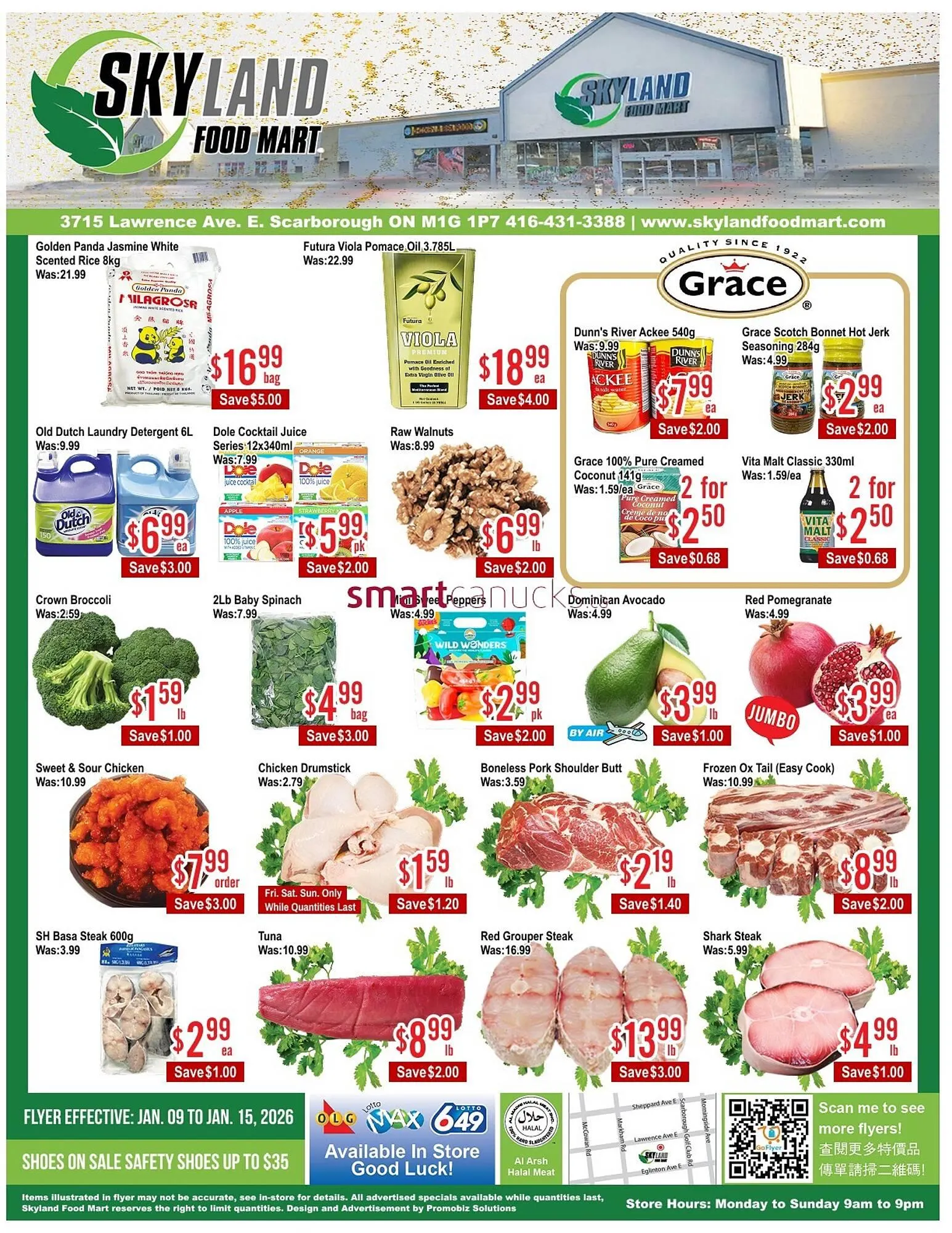 Skyland Foodmart flyer from January 9 to January 15 2026 - flyer page 1