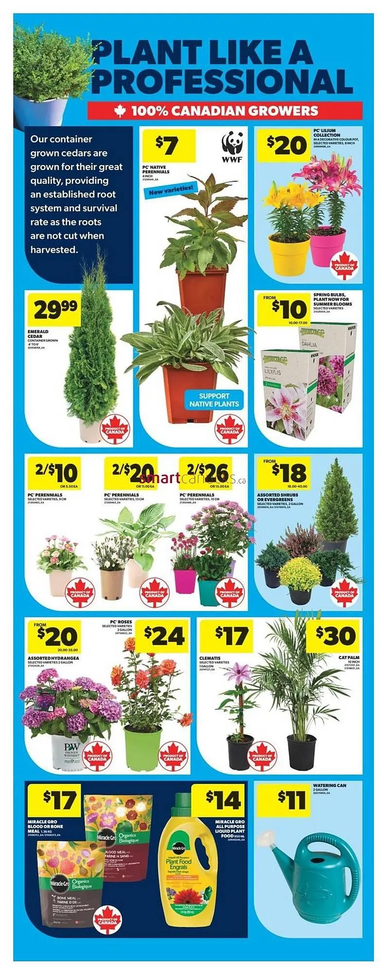 Real Canadian Superstore flyer from May 8 to May 14 2025 - flyer page 47