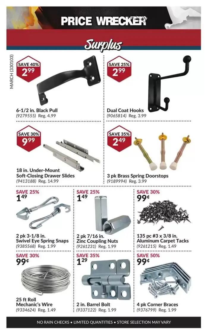 Attractive special offers for everyone from March 1 to March 31 2025 - flyer page 10