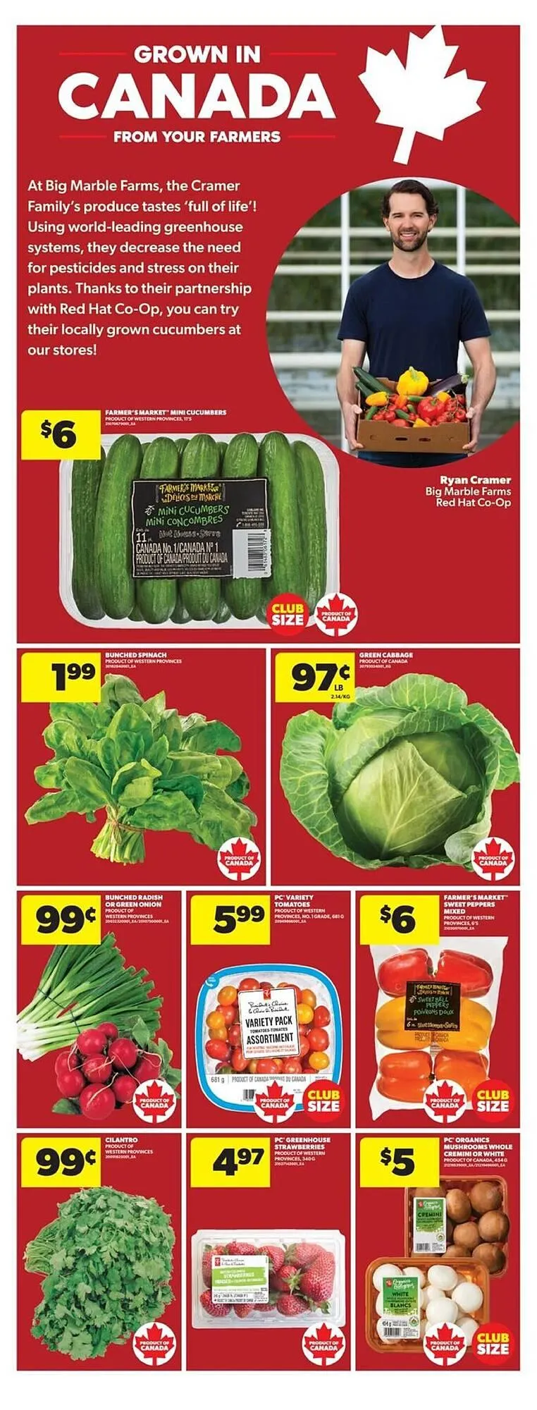Real Canadian Superstore flyer from August 21 to August 28 2025 - flyer page 10
