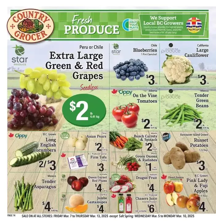 Discover attractive offers from March 7 to March 13 2025 - flyer page 14