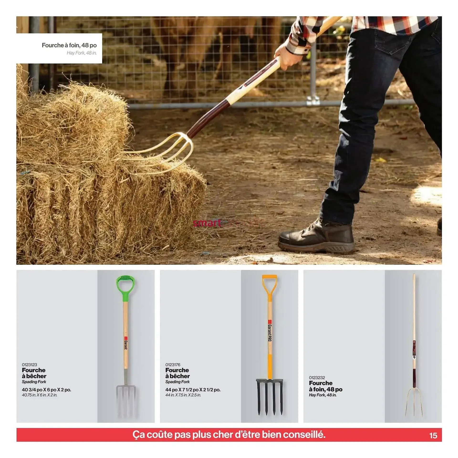 Patrick Morin flyer from April 2 to April 30 2025 - flyer page 15