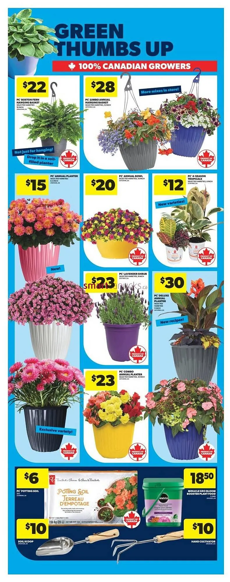 Real Canadian Superstore flyer from May 15 to May 21 2025 - flyer page 38