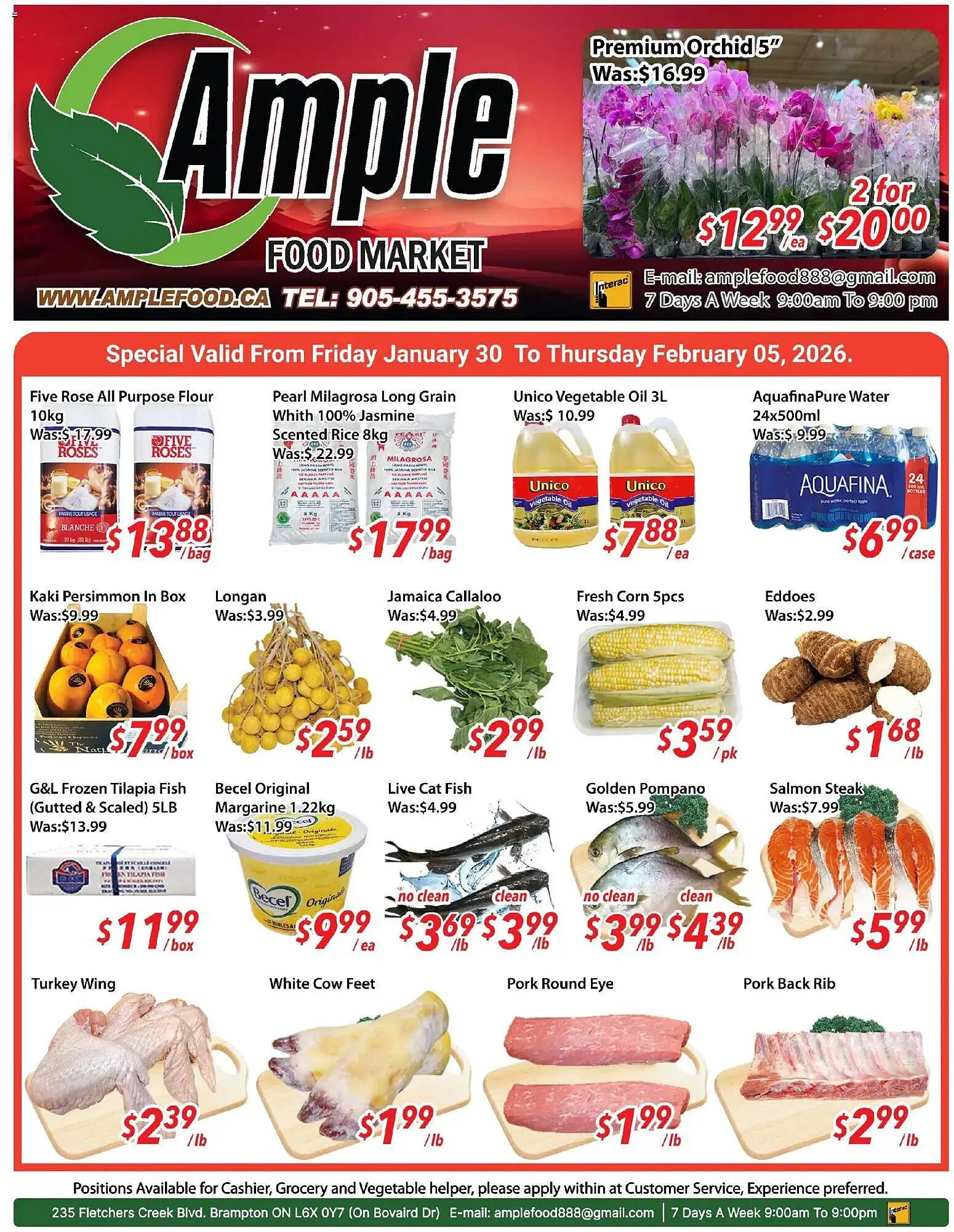 Ample Food Market flyer - 1