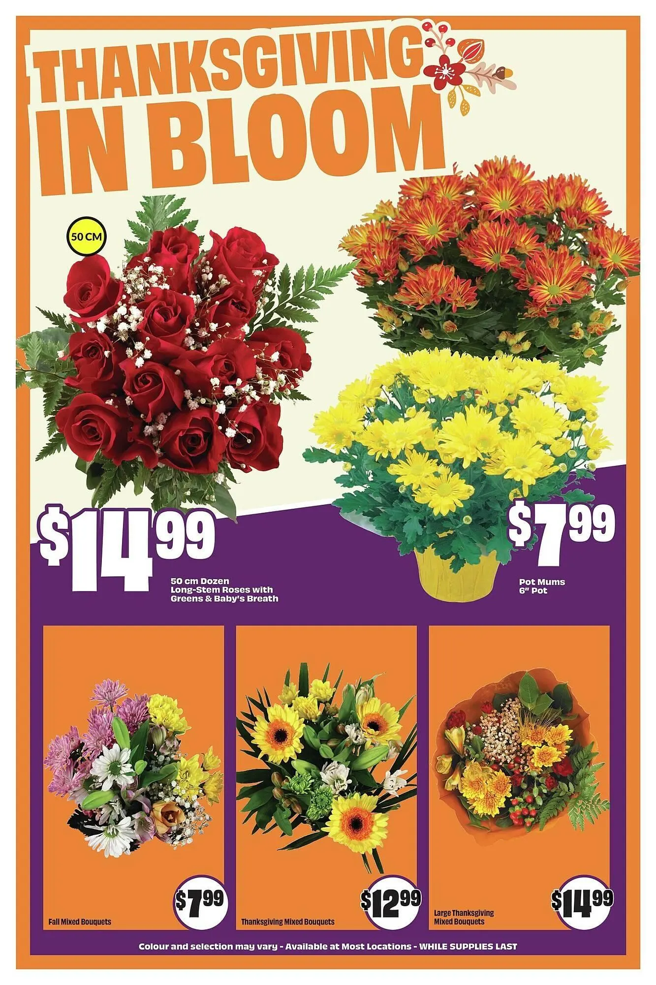 FreshCo flyer from October 2 to October 9 2025 - flyer page 5