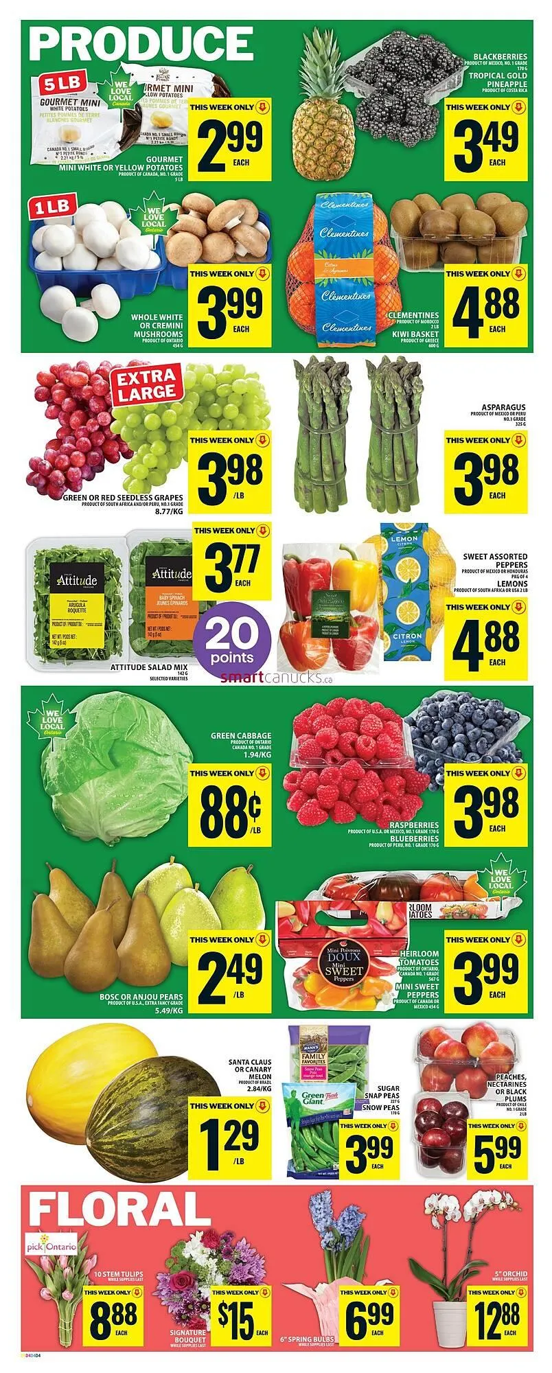 Food Basics flyer from February 19 to February 25 2026 - flyer page 7
