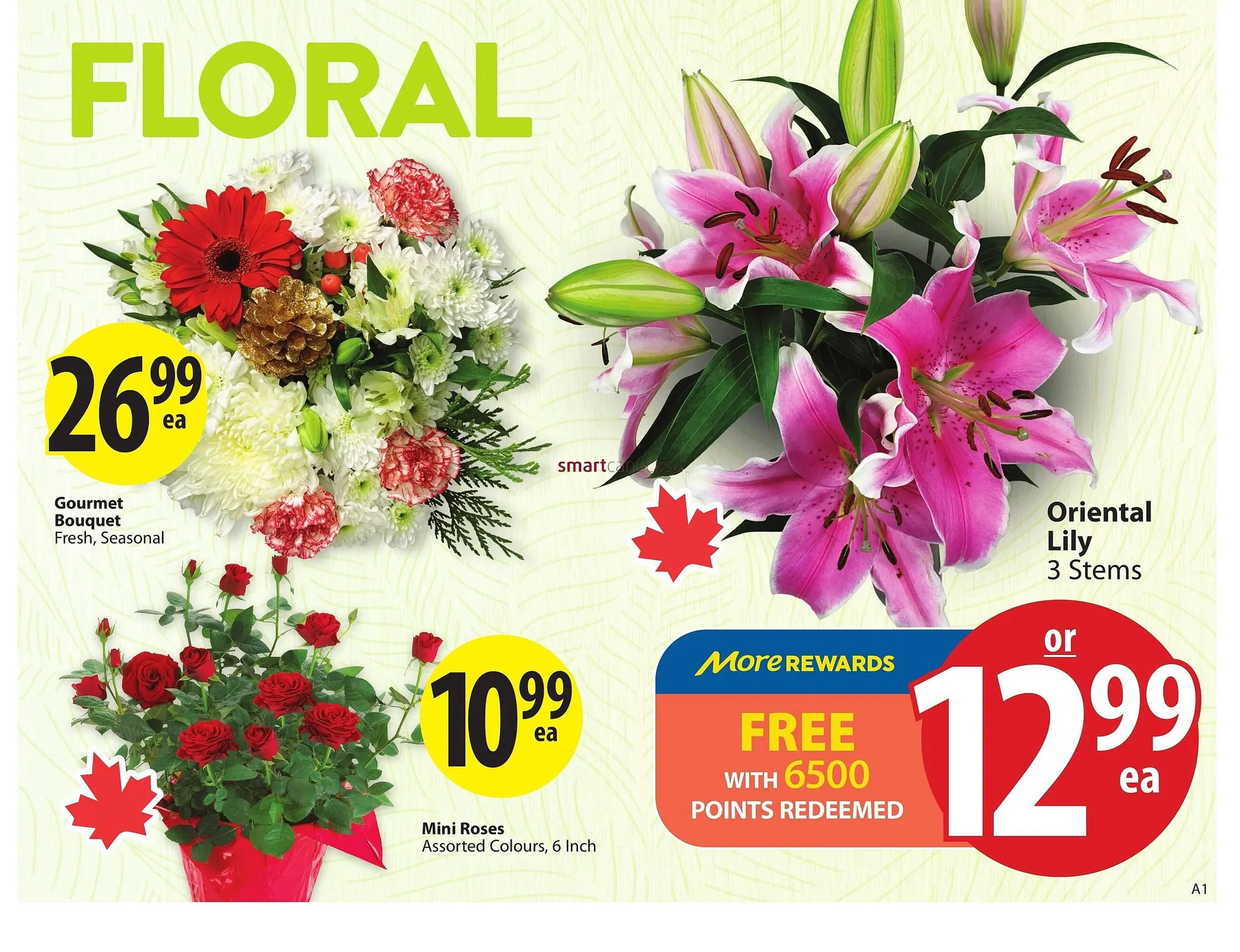 Save on Foods flyer from May 8 to May 14 2025 - flyer page 5