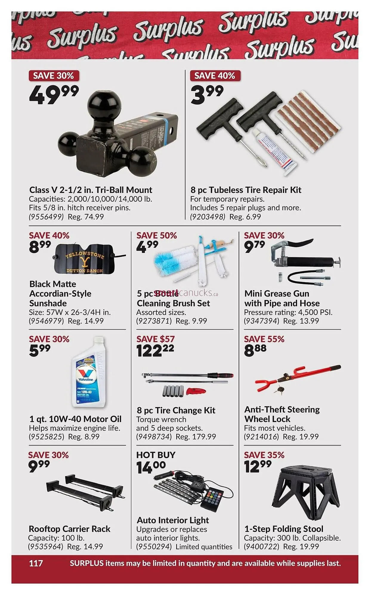 Princess Auto flyer from March 10 to March 22 2026 - flyer page 123