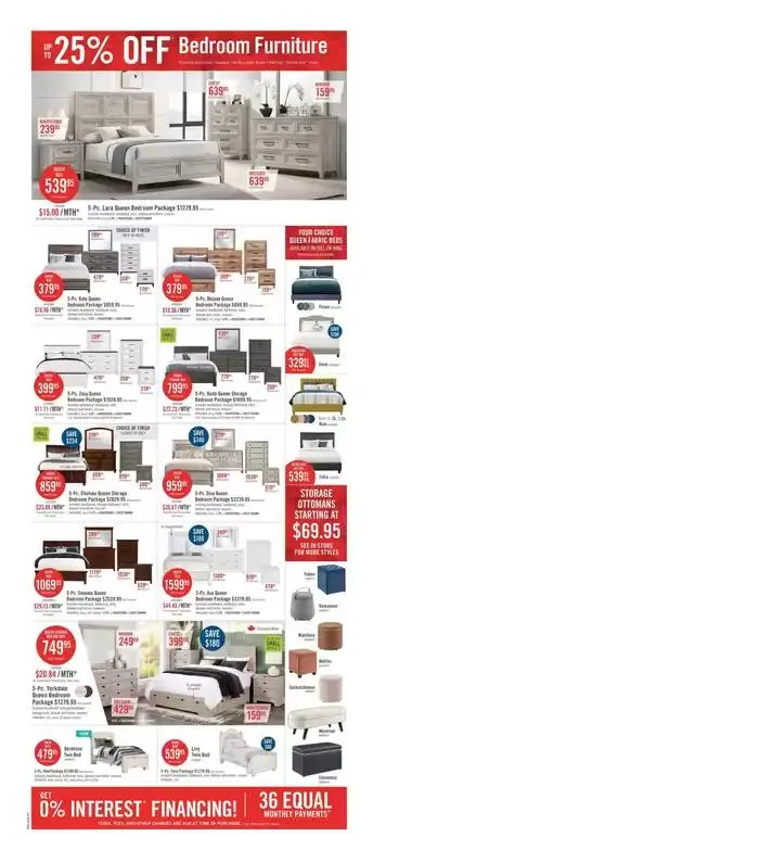 Weekly Flyer from January 1 to January 13 2025 - flyer page 9