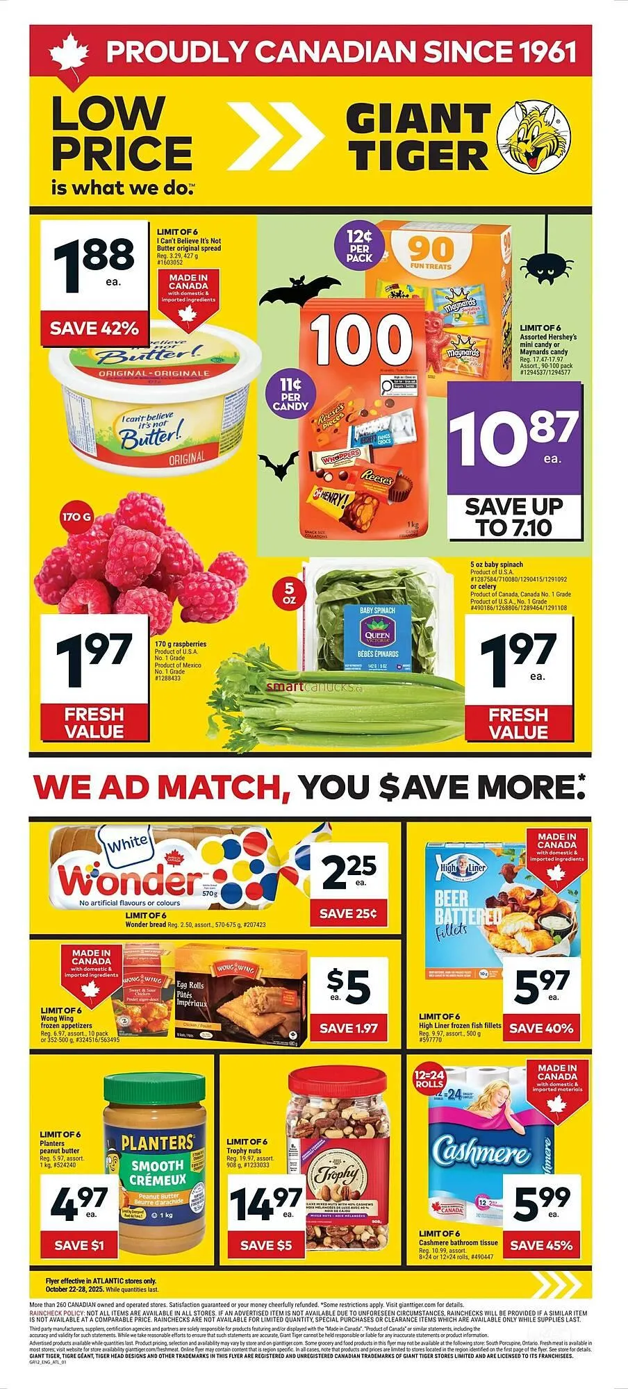 Giant Tiger flyer - 1