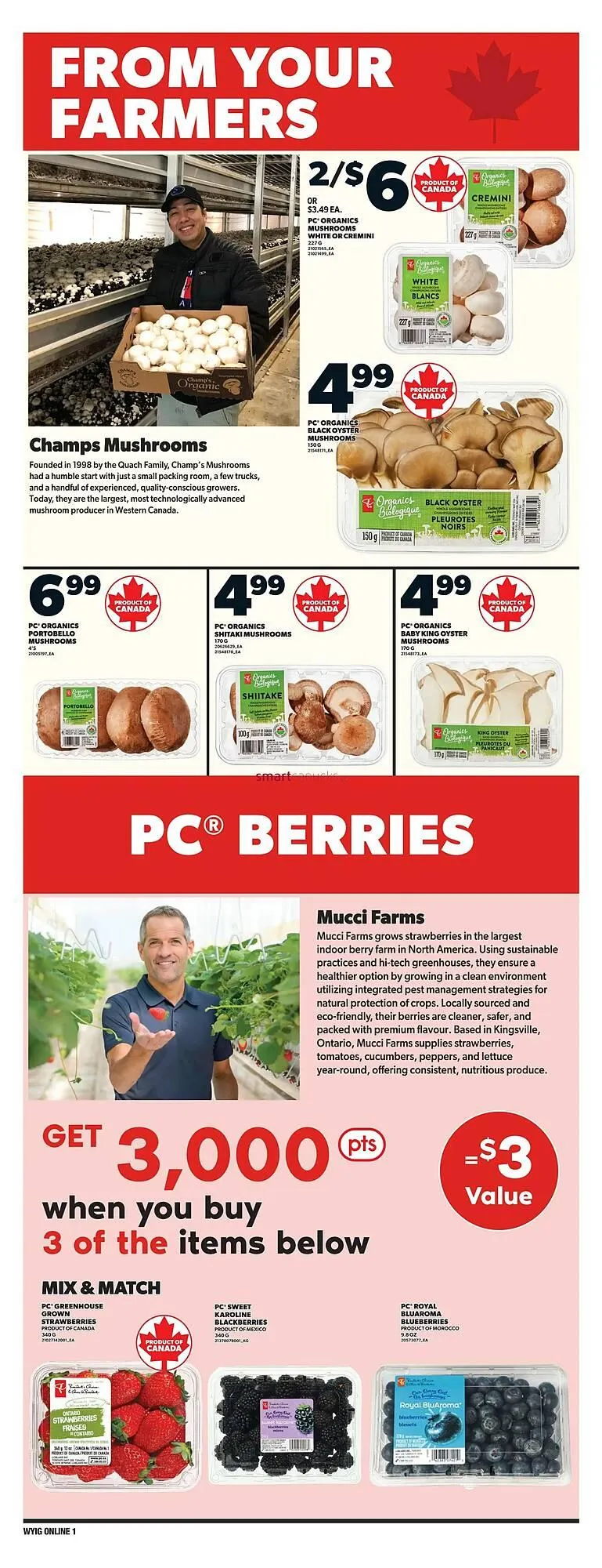 Loblaws flyer from March 27 to April 2 2025 - flyer page 8
